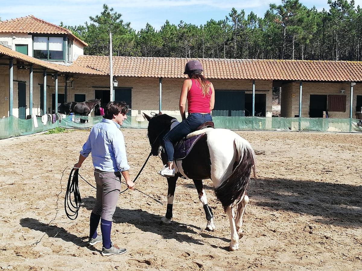 Casa De Ferias Aveiro Com Piscina Eksteriør billede